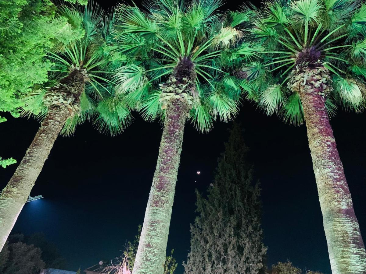 Marla Didim Otel Hotel Didim